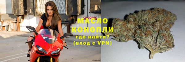 амф Ельня