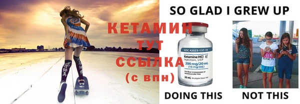 амф Ельня