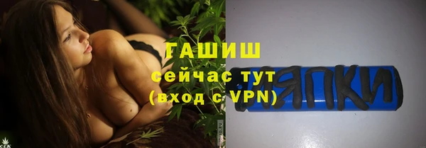 амф Ельня