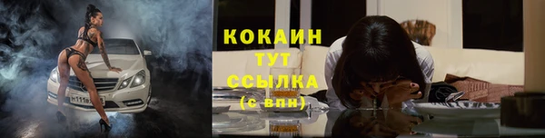 мдпв Елизово