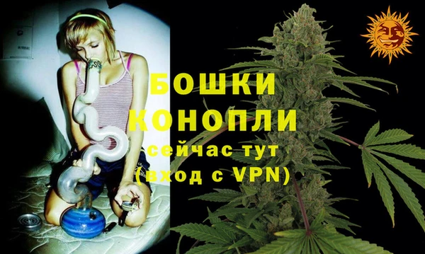 мдпв Елизово