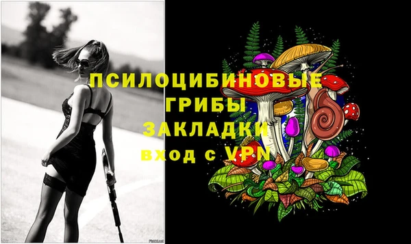 амф Ельня