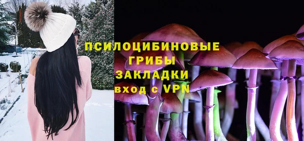 амф Ельня