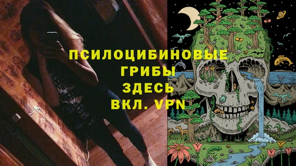мдпв Елизово