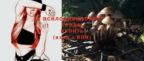 амф Ельня