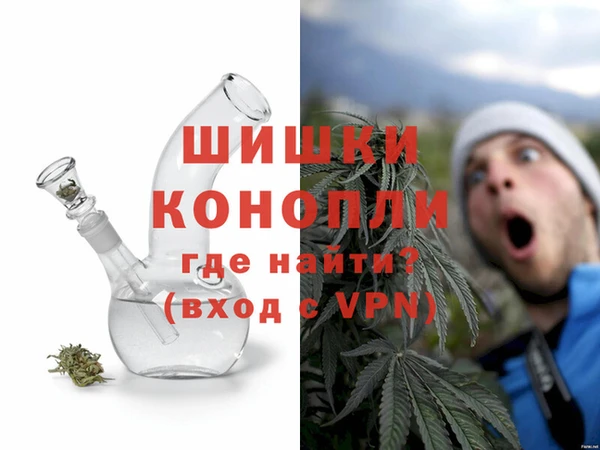 мдпв Елизово