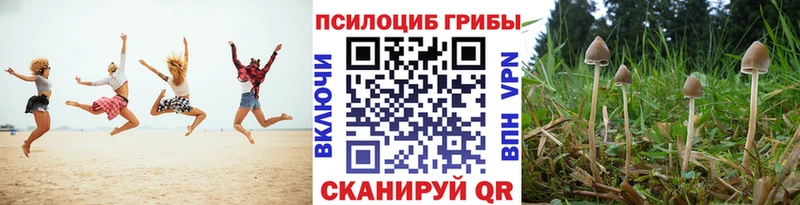 Псилоцибиновые грибы ЛСД  Купить закладки  Солигалич 