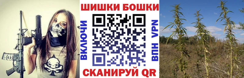 Купить где  Солигалич  Канабис сатива 